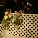 Candela presentation