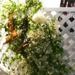 Candela presentation