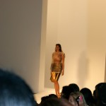 Osklen show
