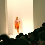 Osklen show