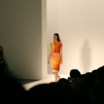 Osklen show