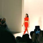 Osklen show
